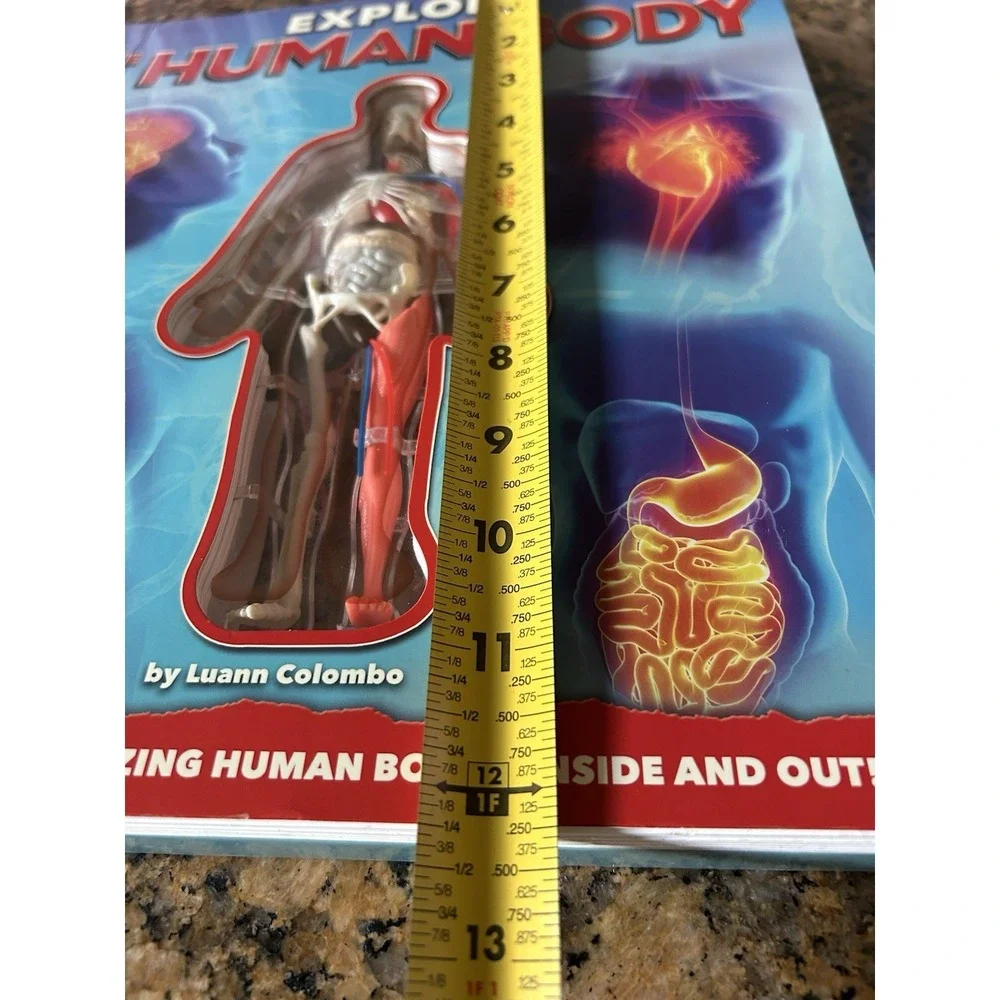 Explore the Human Body - Hardcover By Columbo, Luann‎ - VERY GOOD